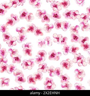 Délicates fleurs roses du motif aquarelle sans couture d'arbre en floraison printanière. Boutons de pêche et de cerise dessinés à la main pour le tissu et le papier peint. Sakura sans fin b Banque D'Images