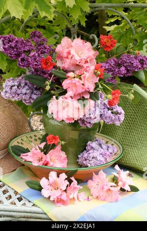 Botanique, lilas (syringa) et rhododendron dans une cruche et un bol sur un banc à l'extérieur, SUPPLÉMENT-DROITS-AUTORISATION-INFO-NON-DISPONIBLE Banque D'Images