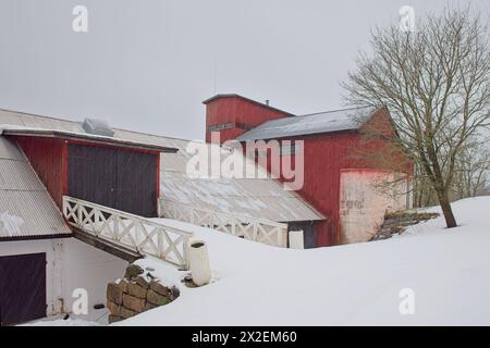 Vieille grange blanche et rouge par temps nuageux d'hiver avec des arbres sans feuilles et de la neige sur le sol. Banque D'Images