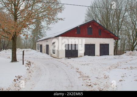 Vieille grange blanche et rouge par temps nuageux d'hiver avec des arbres sans feuilles et de la neige sur le sol. Banque D'Images