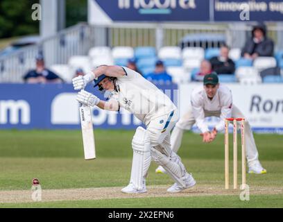 Harry est venu frapper pour le Derbyshire dans un match de championnat du comté de Vitality contre le Leicestershire Banque D'Images