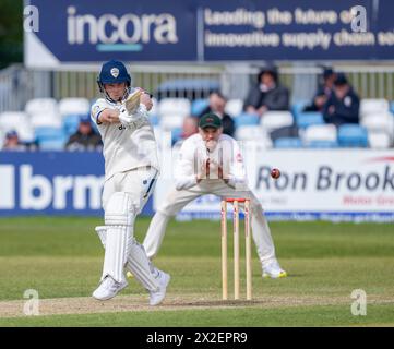 Harry est venu frapper pour le Derbyshire dans un match de championnat du comté de Vitality contre le Leicestershire Banque D'Images