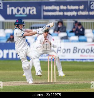 Harry est venu frapper pour le Derbyshire dans un match de championnat du comté de Vitality contre le Leicestershire Banque D'Images