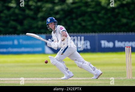 Harry est venu frapper pour le Derbyshire dans un match de championnat du comté de Vitality contre le Leicestershire Banque D'Images