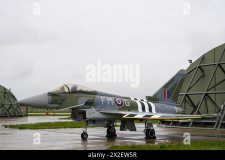 Un jet Typhoon du 257e escadron récemment peint utilisé par l'équipe Typhoon Display, peint dans les couleurs du schéma de peinture « Dayfighter » du Hawker Typhoon volé par Denzel Jenkins le jour J pour marquer le 80e anniversaire, est dévoilé à la RAF Coningsby dans le Lincolnshire. Le jet d'affichage nouvellement peint est le successeur du typhon d'affichage surnommé 'Blackjack' piloté par l'équipe d'affichage. Date de la photo : lundi 22 avril 2024. Banque D'Images