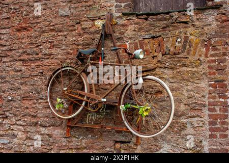 Vieux vélo rouillé accroché sur le côté d'une grange photographiée dans les Ardennes, Belgique Banque D'Images