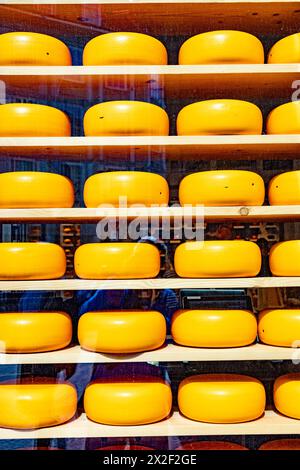 roue à fromage ronde jaune comme décoration dans la vitrine Banque D'Images