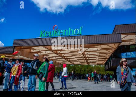 Un groupe de personnes asiatiques vu prendre des photos à l'entrée. Keukenhof est également connu comme le jardin de l'Europe l'un des plus grands jardins de fleurs du monde et est situé à lisse, aux pays-Bas. Pendant près de huit semaines d'ouverture, plus de 1,4 millions de personnes du monde entier visiteront l'exposition. En plus des millions de tulipes, jonquilles et jacinthes dans le parc, les spectacles de fleurs à l'intérieur des pavillons sont devenus plus grands et plus beaux. Keukenhof est également connu comme le jardin de l'Europe l'un des plus grands jardins de fleurs du monde et est situé à lisse.The Netherlands.du Banque D'Images