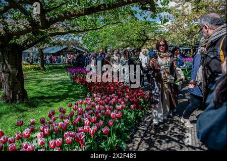 Lisse, pays-Bas. 21 avril 2024. Le jardin semble plein de touristes. Keukenhof est également connu comme le jardin de l'Europe l'un des plus grands jardins de fleurs du monde et est situé à lisse.The Netherlands.pendant les presque huit semaines qu'il est ouvert, plus de 1,4 millions de personnes du monde entier visiteront l'exposition. En plus des millions de tulipes, jonquilles et jacinthes dans le parc, les spectacles de fleurs à l'intérieur des pavillons sont devenus plus grands et plus beaux. (Photo par Ana Fernandez/SOPA images/SIPA USA) crédit : SIPA USA/Alamy Live News Banque D'Images