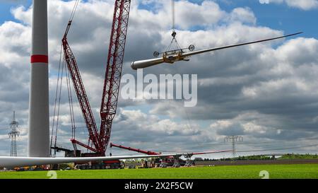 22 avril 2024, Saxe-Anhalt, Bad Lauchstädt : une pale de rotor est soulevée en l'air par une grue pour être installée sur une éolienne du parc énergétique de Bad Lauchstädt. Le parc énergétique de Bad Lauchstädt, dans le centre de l'Allemagne, est actuellement le projet pionnier de l'hydrogène en Allemagne. Dans le cadre de ce projet d’innovation, la production d’hydrogène vert à partir de l’énergie éolienne, ainsi que son stockage, son transport, sa commercialisation et son utilisation, sont testés à grande échelle en Allemagne centrale. Photo : Heiko Rebsch/dpa Banque D'Images