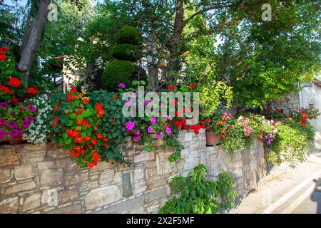 Maisons et jardins locaux décorés de plantes fleuries de géranium photographiées dans les montagnes Troodos, Chypre Banque D'Images