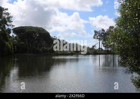 Lagoa Azul à Sintra, Portugal Banque D'Images