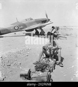 OPÉRATIONS DE LA ROYAL AIR FORCE AU MOYEN-ORIENT ET EN AFRIQUE DU NORD, 1939-1943. - Le sergent pilote F H Doyen du No 274 Squadron RAF examine des ceintures de .303 munitions avant qu'elles ne soient installées dans son avion à Sidi Barrani, en Égypte. En arrière-plan, l'un des membres de l'équipe au sol attache un accumulateur de chariot au Hawker Hurricane Mark I, P2638, arborant l'emblème jaune de l'éclair (changé plus tard en bleu) qui devint l'insigne officieux du 274e Escadron à peu près à cette époque. Le sergent Dean a été abattu et tué le 15 mai 1941, lorsque sa section des Hurricanes a combattu avec les Messerschmitt Bf 109 près de Halfaya Banque D'Images