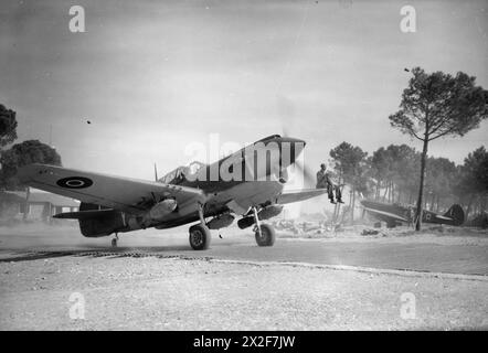 FORCE AÉRIENNE ROYALE : ITALIE, BALKANS ET EUROPE DU SUD-EST, 1942-1945. - Curtiss Kittyhawk Mark IV, FX745 'OK-Y', du No. 450 Squadron RAAF, roulant sur la piste de Cervia, Italie, chargé de trois bombes GP de 250 lb pour une sortie en soutien à l'offensive de printemps de la 8e armée dans le Pô Valley Royal Australian Air Force, 450 Squadron Banque D'Images