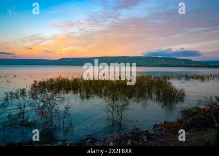 Au bord de l'eau sur la rive de la mer de Galilée, [lac Kineret ou lac Tibériade] Israël au coucher du soleil Banque D'Images