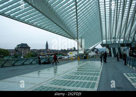 Modernisation de la gare ferroviaire de Liège-Guillemins conçue par l'architecte Santiago Calatrava à Liège Belgique Banque D'Images