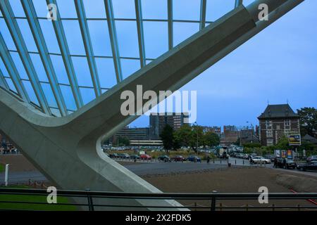 Modernisation de la gare ferroviaire de Liège-Guillemins conçue par l'architecte Santiago Calatrava à Liège Belgique Banque D'Images