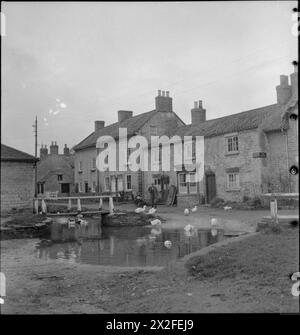 VILLAGE AUTONOME : LA VIE À HOVINGHAM, YORKSHIRE, OCTOBRE 1942 - Une scène paisible d'un village anglais typique, montrant des canards sur l'eau de l'étang du village. Le bâtiment sur le côté droit de la photo est un café. Un homme du coin peut être vu marcher vers le canevas Banque D'Images