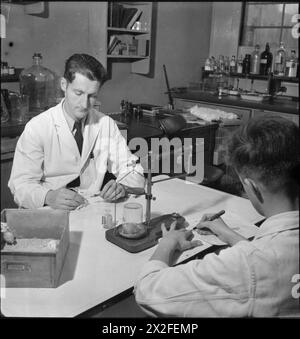 PÉNICILLINE PASSÉ, PRÉSENT ET FUTUR : LE DÉVELOPPEMENT ET LA PRODUCTION DE PÉNICILLINE, ANGLETERRE, 1943 - dans un laboratoire de recherche, des scientifiques inoculent de la pénicilline à des souris dans le cadre d'un programme de recherche mené en Grande-Bretagne, au Canada et aux États-Unis. Ces expériences aideront à déterminer comment le médicament peut être utilisé Banque D'Images