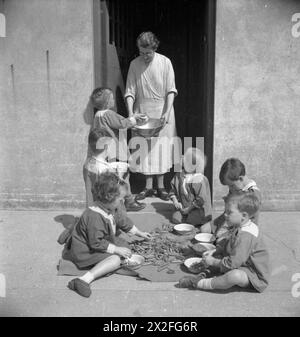 UNE ÉCOLE MATERNELLE MODÈLE : LE TRAVAIL DE TARNER LAND NURSERY SCHOOL, BRIGHTON, SUSSEX, ANGLETERRE, ROYAUME-UNI, 1944 - enfants pois coquillés en plein air à l'extérieur de la Tarner Land Nursery School à Brighton. Ils aident à préparer les légumes pour leur dîner scolaire Banque D'Images