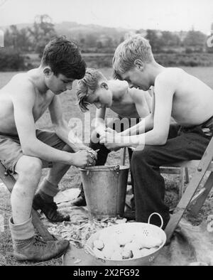 LES JEUNES BÉNÉVOLES AIDENT LES AGRICULTEURS BRITANNIQUES : CAMP AGRICOLE À Nunney CATCH, SOMERSET, ANGLETERRE, Royaume-Uni, 1943 - trois garçons des jeunes bénévoles pelent des pommes de terre dans le camp de Nunney Catch, Somerset. Les jeunes membres du Service, pour qui le travail agricole serait trop difficile, font des treillis de camp Banque D'Images