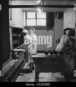 UNE BOULANGERIE MODERNE : LE TRAVAIL DE WONDER BAKERY, WOOD GREEN, LONDRES, ANGLETERRE, ROYAUME-UNI, 1944 - les travailleurs de la boulangerie Wonder, Wood Green, placent des morceaux de pâte dans des boîtes de conserve pour fermentation dans le Prover final automatique. Comme il s'agit d'une boulangerie mécanisée, selon la légende originale, « C'est l'une des rares fois où la pâte est touchée à la main » Banque D'Images