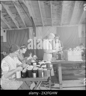 JARDINAGE COMMUNAUTAIRE : WARTIME FOOD PRODUCTION AT Rowney GREEN, WORCESTERSHIRE, ANGLETERRE, Royaume-Uni, 1943 - les membres de l'Institut des femmes travaillent dur à faire de la confiture dans le Peace Hall (une cabane militaire convertie en salle de village) à Rowney Green, Worcestershire. Étiquetage les pots de confiture au premier plan sont Mme Lee (à gauche) et Mme Dodd. Pesant le fruit au centre de la photographie est Mme Nutting. Un autre membre WI peut être vu derrière elle, également au travail. Les fruits étaient fournis par les habitants du village, de leurs propres jardins, et le sucre venait du gouvernement. Selon la légende originale, Banque D'Images