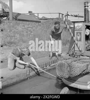 LES FEMMES DIRIGENT Un BATEAU : LA VIE À BORD DE LA BARGE DU CANAL 'HEATHER BELL', 1942 - Miss March nettoie les mauvaises herbes et autres déchets autour de l'hélice de la 'HEATHER BELL' tandis que sa mère regarde Banque D'Images