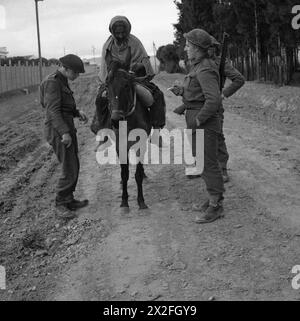 L'ARMÉE BRITANNIQUE DANS LA CAMPAGNE DE TUNISIE, NOVEMBRE 1942-MAI 1943 - Coldstream Guards interrogeant un arabe, qui venait de traverser les lignes allemandes, à une position avancée à Medjez el Bab, le 25 décembre 1942. Les opérations en Tunisie ont continué à être à une échelle légère et la première armée britannique a été engagée principalement dans des activités de patrouille. Le mauvais temps a également été connu à cette époque et la boue a entravé les mouvements à grande échelle des véhicules lourds British Army, British Army, 1st Army, British Army, Coldstream Guards Banque D'Images