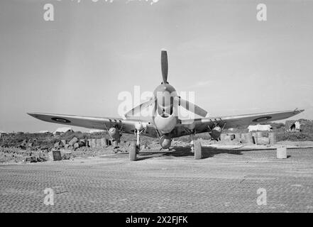 FORCE AÉRIENNE ROYALE : ITALIE, BALKANS ET EUROPE DU SUD-EST, 1942-1945. - Un Curtiss Kittyhawk Mark IV du No. 450 Squadron RAAF dans une dispersion à Cutella, au sud de Vasto, en Italie, avec une bombe GP de 1 000 lb lancée sous le fuselage, et deux bombes GP de 500 lb lancées depuis les points de chargement des ailes. Notez le plandking en acier percé (PSP) couvrant la surface de dispersion de la Royal Australian Air Force, 450 Squadron Banque D'Images