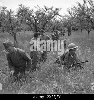 L'ARMÉE BRITANNIQUE EN ITALIE 1945 - L'infanterie du 1er régiment royal commence à creuser des tranchées dans un verger près de Vedrano, le 21 avril 1945 Banque D'Images