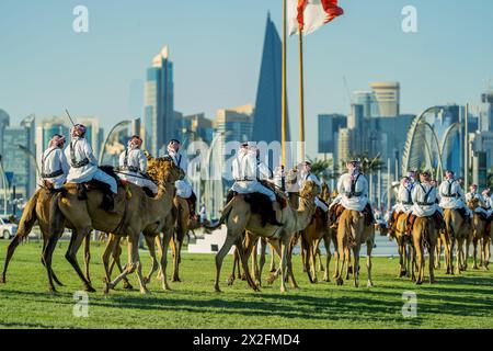 Amiri Diwan et Palace Guard chameaux, Doha, Qatar. 15-04-2024 Banque D'Images