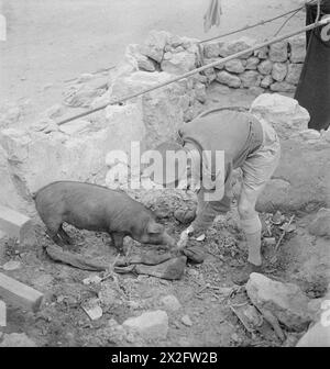 Photographies de Cecil Beaton prises au moyen-Orient de février à juillet 1942, représentant la vie militaire et civile pendant la première Guerre mondiale Banque D'Images
