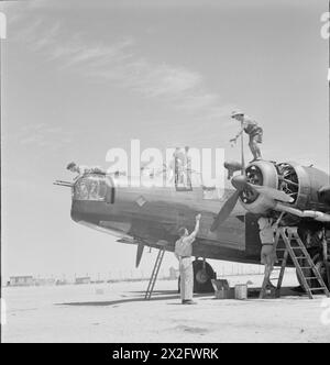 OPÉRATIONS DE LA ROYAL AIR FORCE AU MOYEN-ORIENT ET EN AFRIQUE DU NORD, 1939-1943 - équipage au sol au service d'un Vickers Wellington Mark IC du No 38 Squadron RAF à Shallufa, Égypte. Notez l'aspirateur utilisé pour enlever le sable de la zone de cockpit de la Royal Air Force, 38 Squadron Banque D'Images