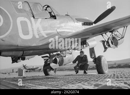 FORCE AÉRIENNE ROYALE : ITALIE, BALKANS ET EUROPE DU SUD-EST, 1942-1945. - Un commandant de l'escadre de la RAF inspecte une bombe GP de 1 000 lb lancée sous le fuselage d'un Curtiss Kittyhawk Mark IV du No 450 Squadron RAAF dans une dispersion à Cutella, au sud de Vasto, en Italie. Deux bombes GP de 500 lb sont également lancées à partir des points de chargement des ailes de la Royal Australian Air Force, 450 Squadron Banque D'Images