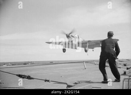 IMAGES DE FLEET AIR ARM. AVRIL 1941, À BORD DU HMS ARK ROYAL. - Fairey Fulmar arrive à la terre Banque D'Images