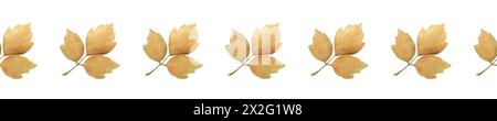 Aquarelle automne bordure sans couture or. Motif répétitif. Branches de décoration horizontales avec feuilles. isolé sur blanc. Botanique dessiné à la main illust Banque D'Images
