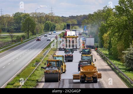 Wesel, Nordrhein-Westfalen, Deutschland - Strassenbau, Asphaltfertiger und Strassenwalzen verbauen neuen Asphalt auf der Autobahn A3, monatelange Sanierung der Autobahn A3 zwischen Huenxe und Emmerich, die groesste Baumassnahme auf Deutschlands Autobahnen in diesem Jahr. Wesel Nordrhein-Westfalen Deutschland *** Wesel, Rhénanie-du-Nord-Westphalie, Allemagne construction routière, finisseurs d'asphalte et rouleaux de roulement pose de l'asphalte neuf sur l'autoroute A3, rénovation d'un mois de l'autoroute A3 entre Huenxe et Emmerich, le plus grand projet de construction sur les autoroutes allemandes cette année Wesel Rhénanie-du-Nord-Westphalie Banque D'Images