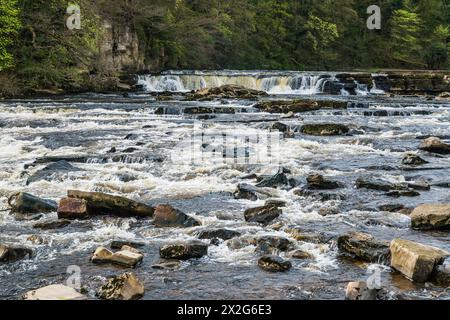 La rivière Swale à Richmond Falls Banque D'Images