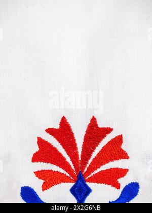 Ornement traditionnel slovène de broderie de nappe en bleu et rouge avec fleur d'oeillet Banque D'Images