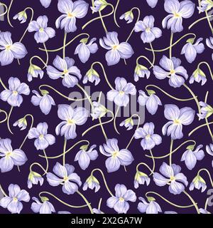 Fleurs Violet Seamless Pattern fond sombre. Couverture de jardin aquarelle. Illustration dessinée à la main Spring Blossom. Meadow Wild Viola. Botanical templat Banque D'Images