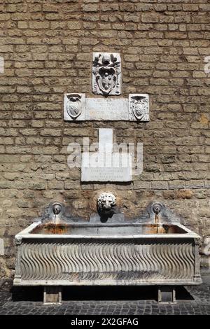 Fontaine dans le mur du Vatican, mince jet d'eau, sculpture, tête de lion Banque D'Images