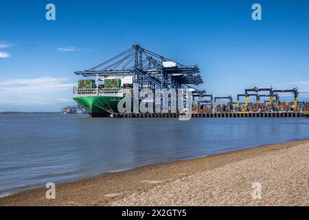 Container Ship Ever Art à Felixstowe Container Port, étant chargé avec des conteneurs un jour ensoleillé d'avril 2024 Banque D'Images