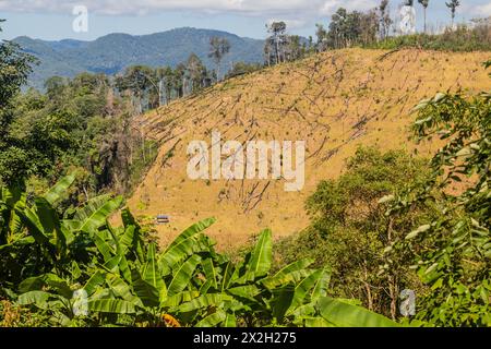Déforestation près de la ville de Luang Namtha, Laos Banque D'Images