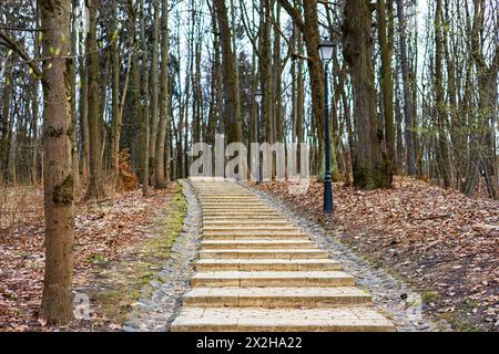 escalier fait de pavés en pierre dans le parc. escalier en pierre Banque D'Images
