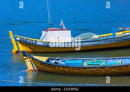 Bateaux de pêche au sud du Chili dans un petit village nommé Queule, Chili, Amérique du Sud Banque D'Images