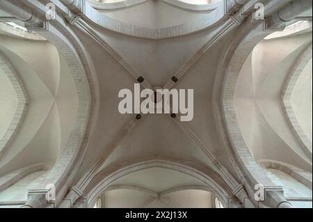 Voûtes de l'ancien monastère cistercien de Pontigny, l'abbaye de Pontigny a été fondée en 1114, Pontigny, Bourgogne, France Banque D'Images