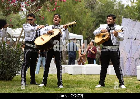 Culture mexicaine ; Un groupe Mariachi - un groupe de musique mexicaine traditionnelle jouant de la musique folklorique mexicaine ; Torreon, Mexique Banque D'Images