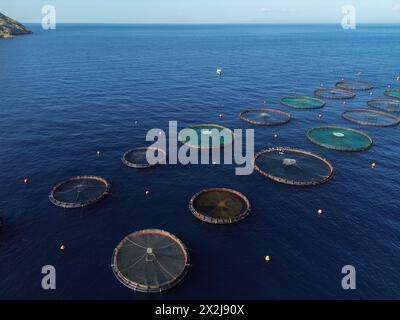 Athènes, Grèce. 19 avril 2024. Dans une vue aérienne, les cages à poissons flottent à la surface de l'eau à la ferme piscicole du groupe Kastelorizo dans le golfe Saronique. La pisciculture peut offrir une approche durable pour inverser la surexploitation des populations de poissons sauvages. Crédit : Dimitris Aspiotis/Alamy Banque D'Images