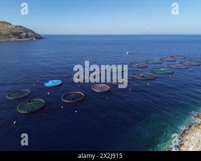 Athènes, Grèce. 19 avril 2024. Dans une vue aérienne, les cages à poissons flottent à la surface de l'eau à la ferme piscicole du groupe Kastelorizo dans le golfe Saronique. La pisciculture peut offrir une approche durable pour inverser la surexploitation des populations de poissons sauvages. Crédit : Dimitris Aspiotis/Alamy Banque D'Images